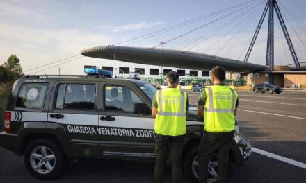 Federcaccia Fvg, controlli rafforzati contro l’abbandono degli animali e per la sicurezza dei cani