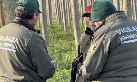 Pre-apertura della stagione venatoria: scatta il piano delle guardie di Federcaccia Fvg