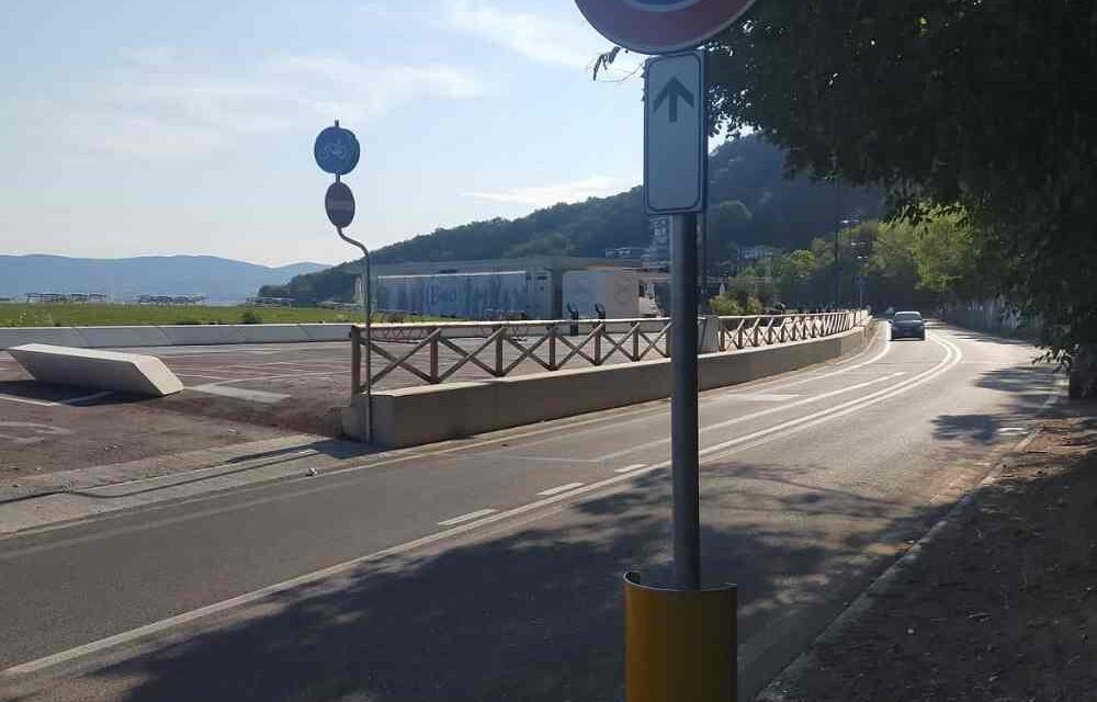 Topi sul litorale di Muggia: l’appello del Comune