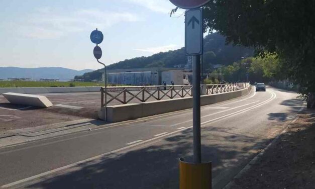 Topi sul litorale di Muggia: l’appello del Comune