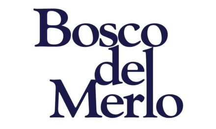 DALLA VITICOLTURA RAGIONATA AL BILANCIO DI SOSTENIBILITÀ 2025: I RISULTATI DI BOSCO DEL MERLO