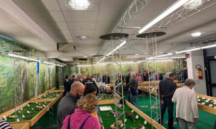 La Festa dei Funghi e dell’Ambiente di Budoia compie 57 anni: un’edizione speciale all’insegna del prestigioso riconoscimento nazionale di “Sagra di Qualità”