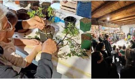 VILLALTA DI FAGAGNA: a Cjase di Catine ORIGAMI per la BIODIVERSITÀ