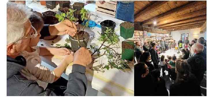 VILLALTA DI FAGAGNA: a Cjase di Catine ORIGAMI per la BIODIVERSITÀ