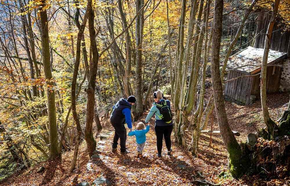 Settembre in Carnia, tra natura, e-bike e i segreti del bosco