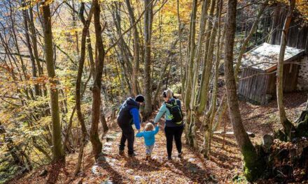 Settembre in Carnia, tra natura, e-bike e i segreti del bosco