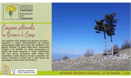 Carsiana sottovento: la Bora e il Carso