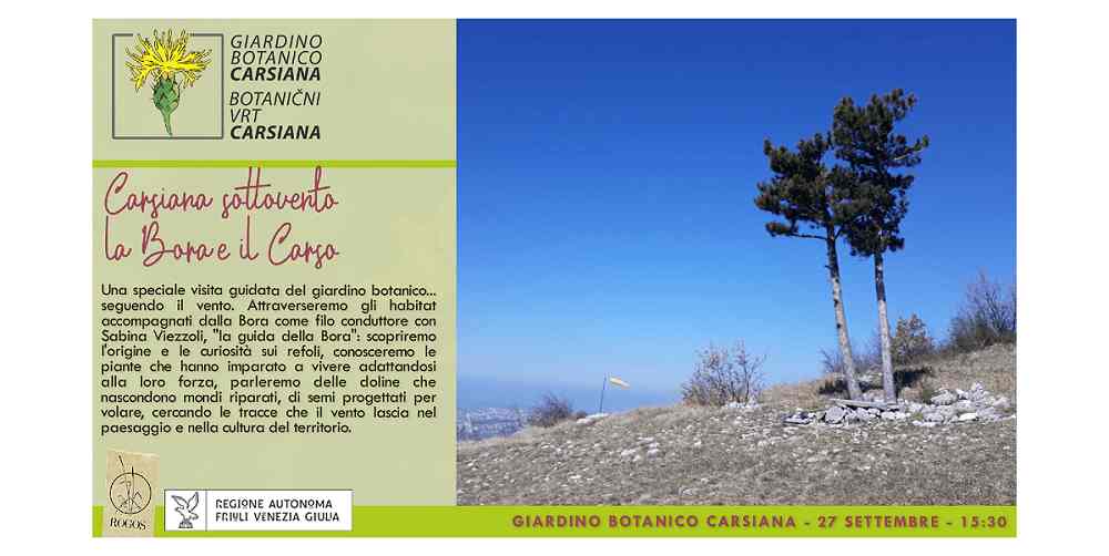 Carsiana sottovento: la Bora e il Carso