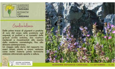 Cosmetica botanica: piante, corpo e bellezza dall’antichità alla skincare a Carsiana