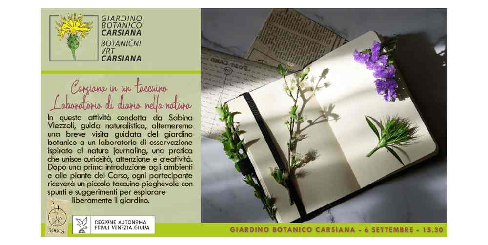 Carsiana in un taccuino