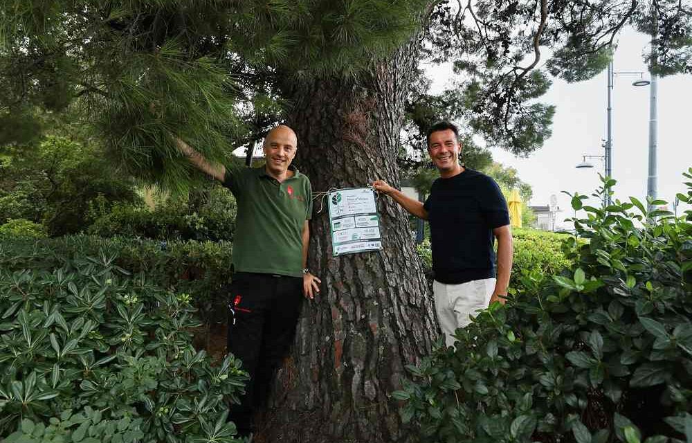 TRIESTE ADERISCE ALLA CAMPAGNA EUROPEA #EUTREETAG