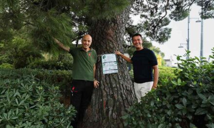 TRIESTE ADERISCE ALLA CAMPAGNA EUROPEA #EUTREETAG