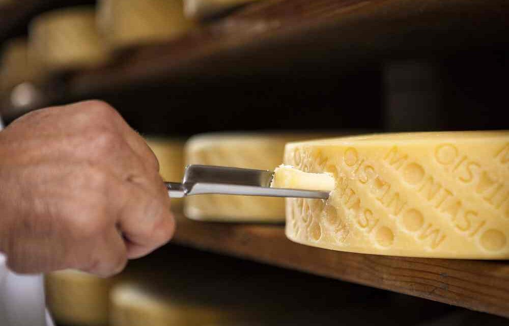 A Friuli DOC il Montasio DOP da assaggiare e conoscere