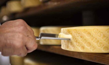 A Friuli DOC il Montasio DOP da assaggiare e conoscere