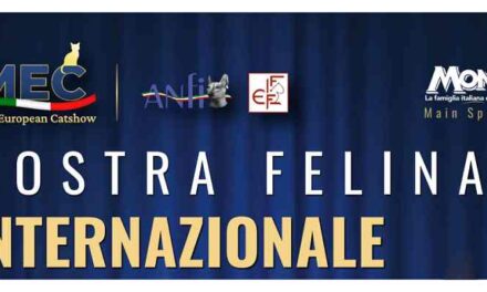 Esposizioni Internazionali di Gatti di Razze pregiate a Udine