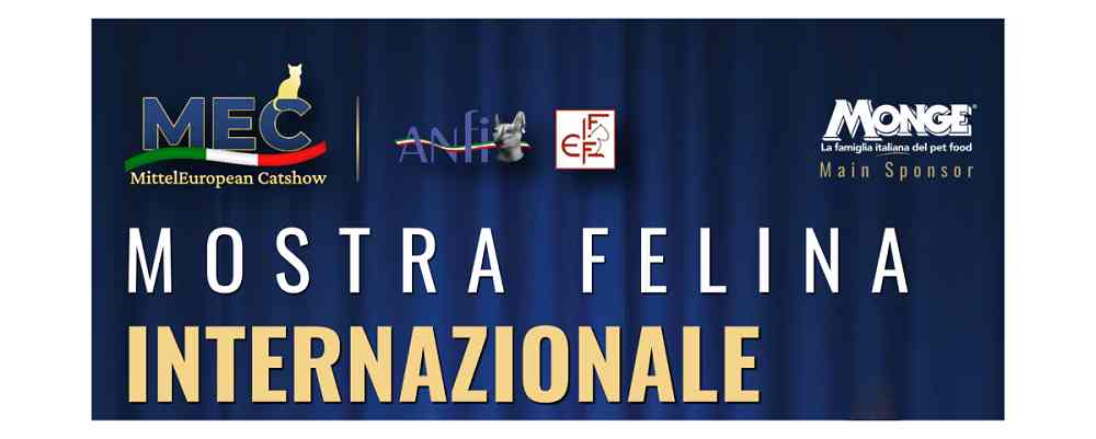 Esposizioni Internazionali di Gatti di Razze pregiate a Udine