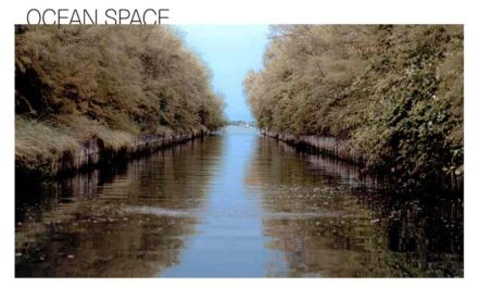Ocean Space diventa un Zoöp, ma cos’è? La Laguna, e non solo, avrà una voce nelle decisioni dell’istituzione