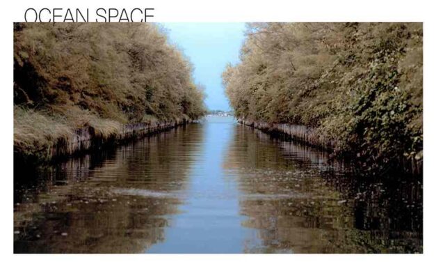 Ocean Space diventa un Zoöp, ma cos’è? La Laguna, e non solo, avrà una voce nelle decisioni dell’istituzione