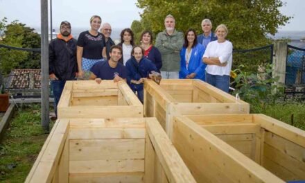 RE-BUILDING: UN PROGETTO DI RIGENERAZIONE DELLO SPAZIO ESTERNO DEL POLO TOTI PER LA VALORIZZAZIONE DEL GIARDINO COME SPAZIO DI SOCIALITÀ