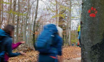AUTUNNO A TARVISIO TRA FOLIAGE, SENTIERI E STORIE DEL TERRITORIO