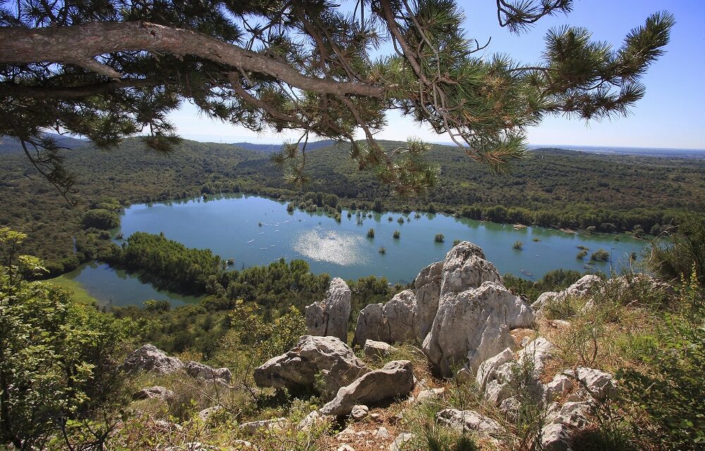 Venerdì 16 ottobre inaugurazione del percorso “10mila passi di Salute” a Doberdò, tra  lago, rocce,  storia e boscaglia carsica