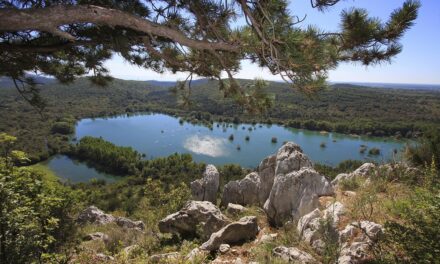 Venerdì 16 ottobre inaugurazione del percorso “10mila passi di Salute” a Doberdò, tra  lago, rocce,  storia e boscaglia carsica
