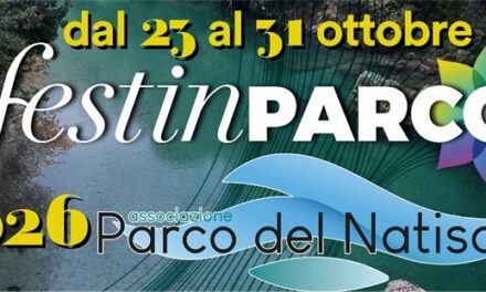 FESTINPARCO a RAVE