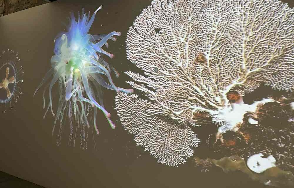 Barcolana al museo della scienza