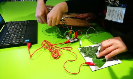 Coding, fantasia e manualità: all’Immaginario Scientifico per EU Code Week
