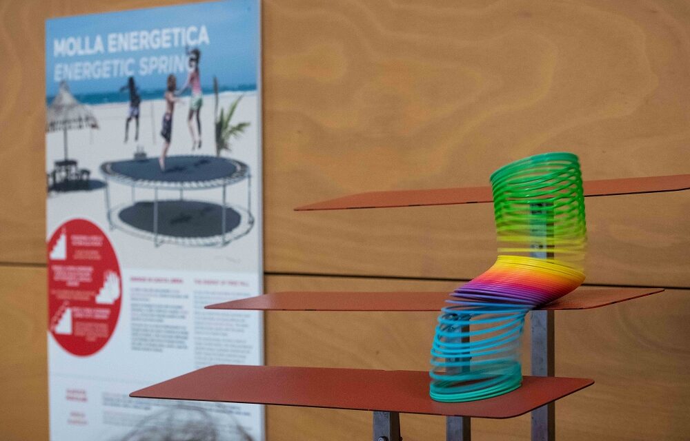 Biomimesi: all’Immaginario di Pordenone per imparare dalla natura