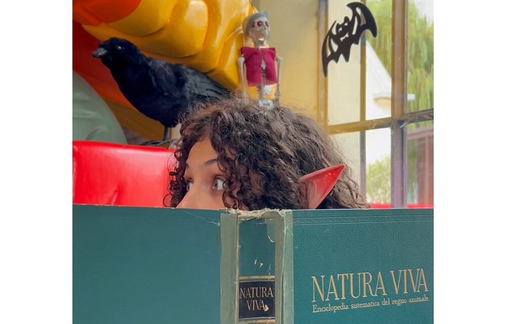 Halloween al museo con la “Creature Academy”