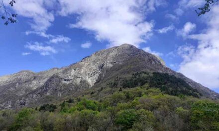 “SFUMATURE D’AUTUNNO IN ALTOPIANO”: DOMENICA 11 OTTOBRE ESCURSIONE TRA IL FOLIAGE E LE TESTIMONIANZE STORICHE DI MONTE PRAT