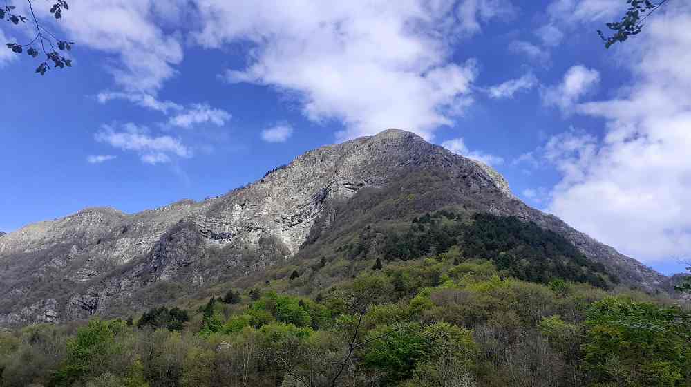 “SFUMATURE D’AUTUNNO IN ALTOPIANO”: DOMENICA 11 OTTOBRE ESCURSIONE TRA IL FOLIAGE E LE TESTIMONIANZE STORICHE DI MONTE PRAT
