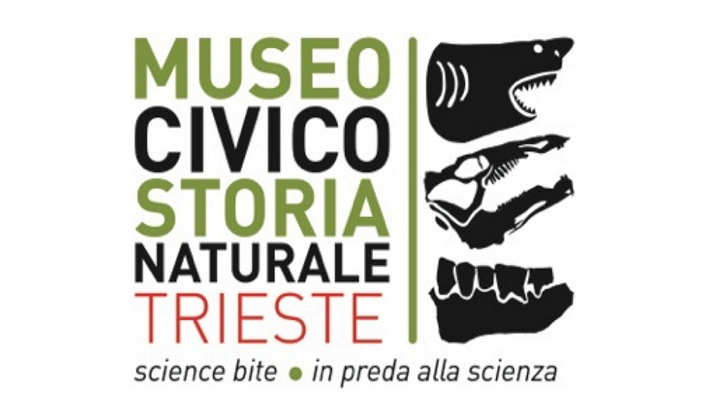 Visita guidata Marchesetti e le collezioni botaniche al Museo di Storia Naturale di Trieste