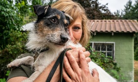 SNOOPY? NO, È CHARLIE IL NOME PER CANE PIÙ SCELTO IN FRIULI VENEZIA GIULIA