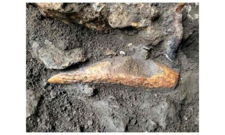 GROTTA TINA JAMA – SGONICO/ZGONIK: NUOVA LUCE SULLA TRANSIZIONE TRA LE ULTIME COMUNITÀ DI CACCIATORI-RACCOGLITORI MESOLITICI E I PRIMI GRUPPI NEOLITICI NELL’ADRIATICO NORD-ORIENTALE