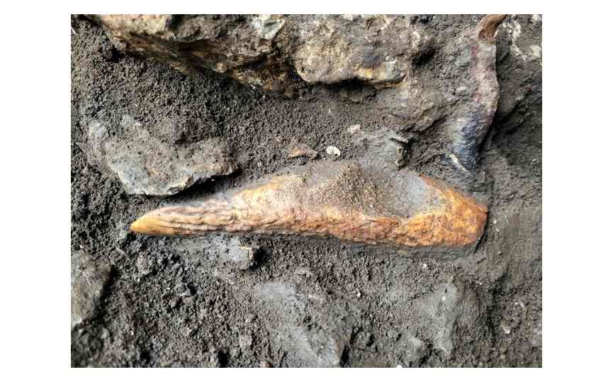 GROTTA TINA JAMA – SGONICO/ZGONIK: NUOVA LUCE SULLA TRANSIZIONE TRA LE ULTIME COMUNITÀ DI CACCIATORI-RACCOGLITORI MESOLITICI E I PRIMI GRUPPI NEOLITICI NELL’ADRIATICO NORD-ORIENTALE