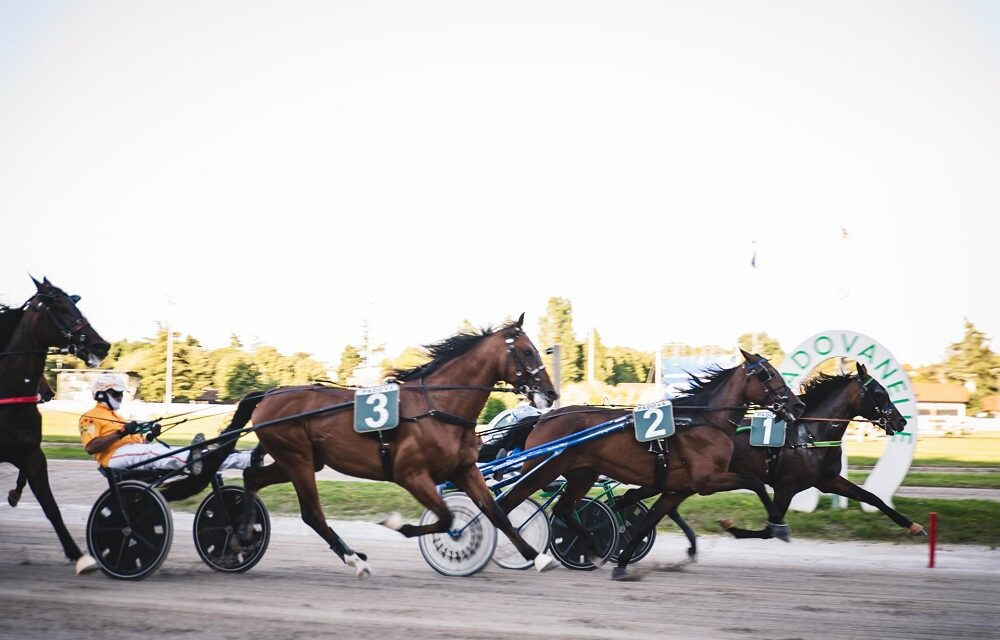 La storia del trotto fa tappa a Padova: domenica il Gran Premio Città di Padova, da 60 anni una delle gare più importanti in Italia