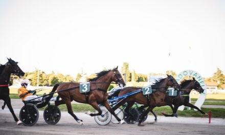 La storia del trotto fa tappa a Padova: domenica il Gran Premio Città di Padova, da 60 anni una delle gare più importanti in Italia