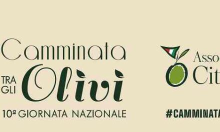 PRESENTATA NELLA SEDE DELLA CAMERA DI COMMERCIO VENEZIA GIULIA L’EDIZIONE 2026 DELLA “CAMMINATA TRA GLI OLIVI”